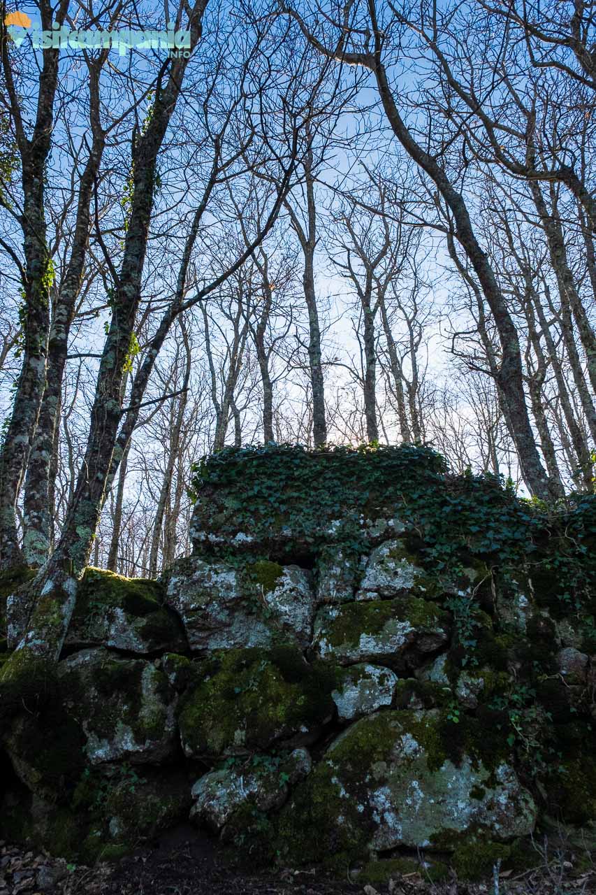 another detail of the megalithic walls